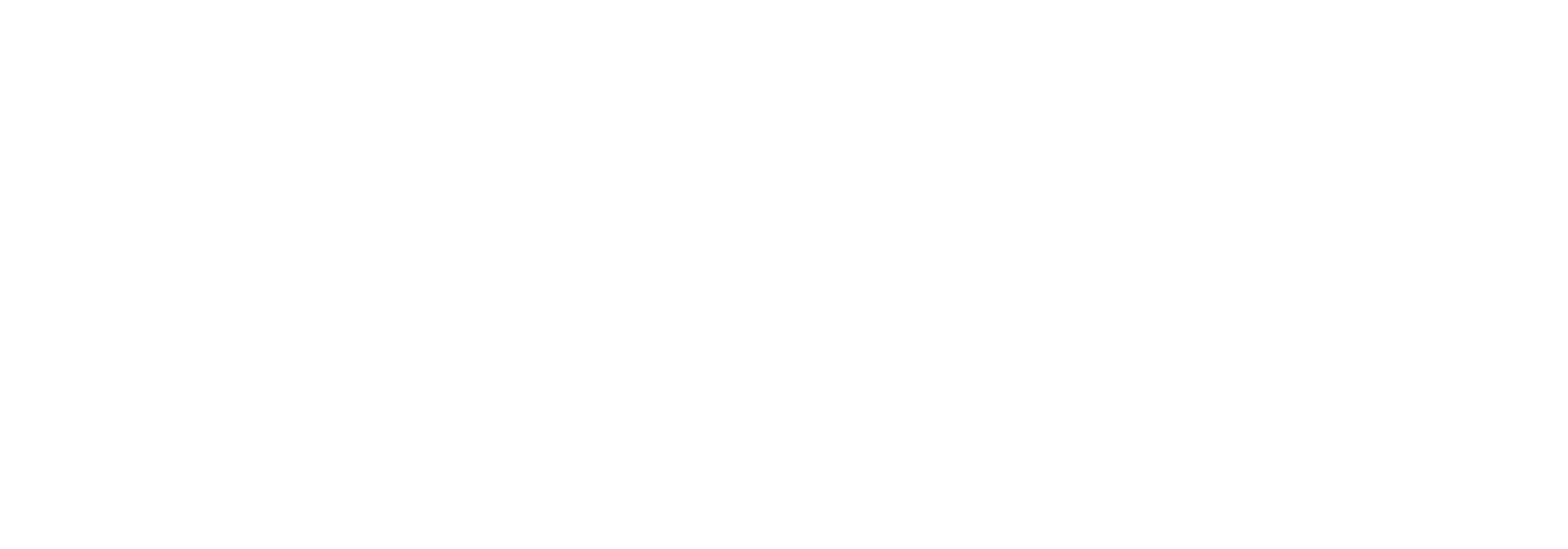 Salsify Digital Shelf Summit 2027 logo
